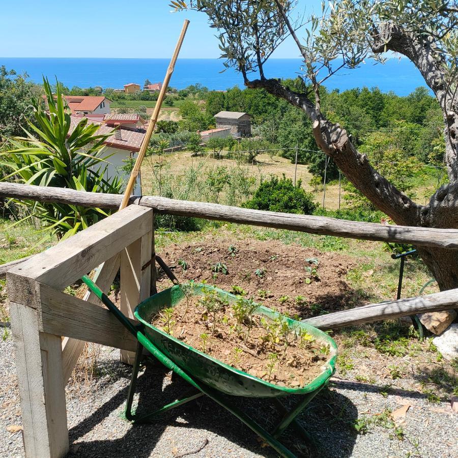 Agriturismo Agri Armonia サン・ルーチド エクステリア 写真