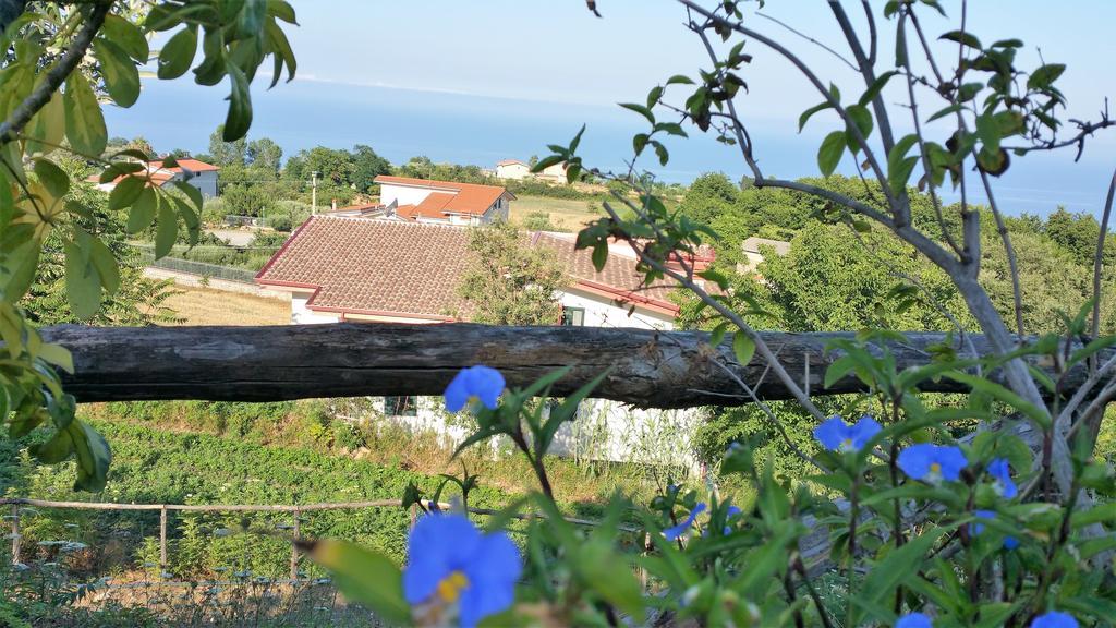 Agriturismo Agri Armonia サン・ルーチド エクステリア 写真