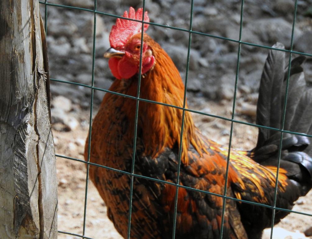 Agriturismo Agri Armonia サン・ルーチド エクステリア 写真