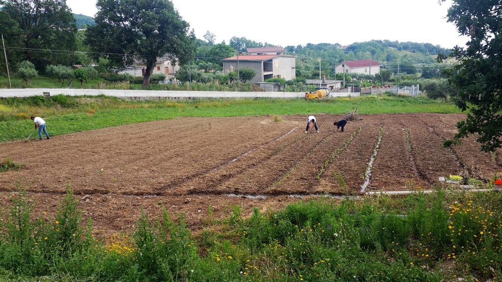 Agriturismo Agri Armonia サン・ルーチド エクステリア 写真